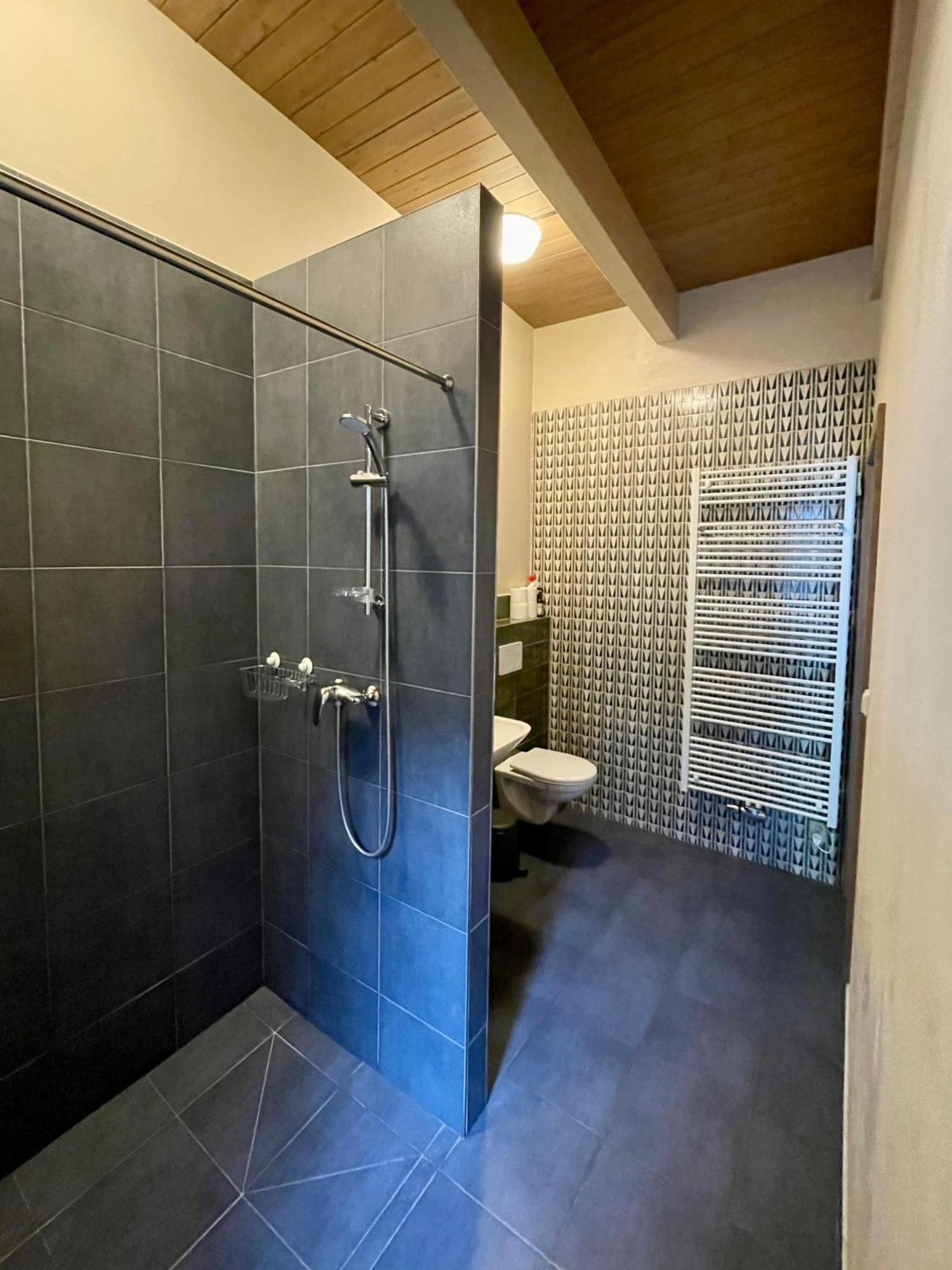 Apartmany Modrinovy Dum Horní Planá Ruang foto