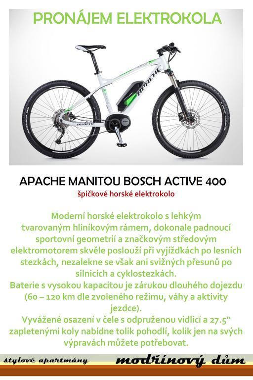 Apartmany Modrinovy Dum Horní Planá Bagian luar foto